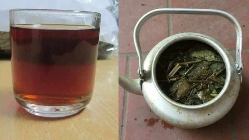 Cách sắc xạ đen đúng chuẩn giúp giảm tác dụng phụ