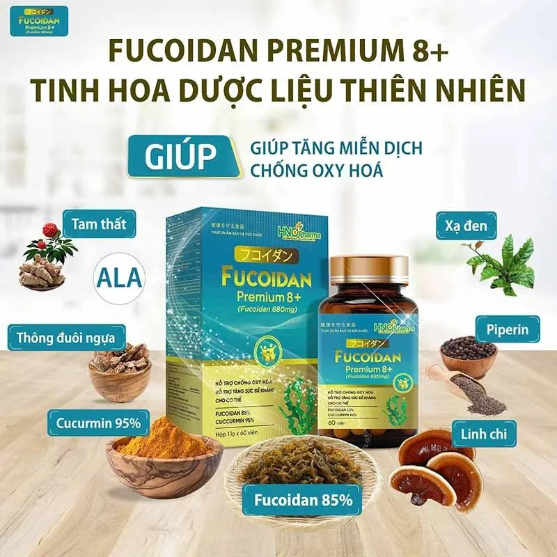 Fucoidan Premium 8 – Giải pháp bảo vệ gan thận và tăng cường sức khỏe toàn diện