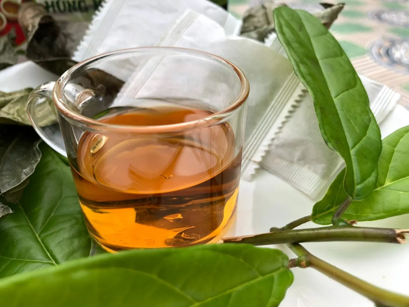 Kết hợp trà xạ đen và Fucoidan Premium 8 giúp nâng cao sức khỏe toàn diện