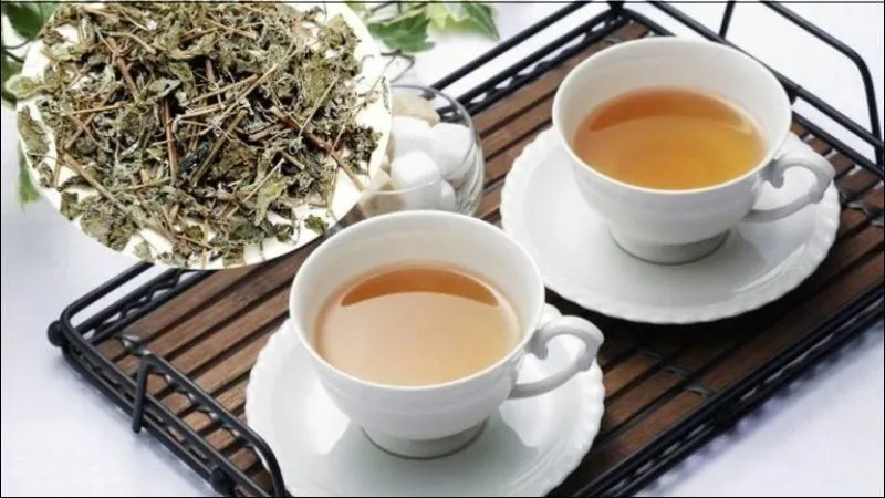 Uống nước xạ đen đúng cách giúp hỗ trợ bài tiết, giảm nguy cơ sỏi thận