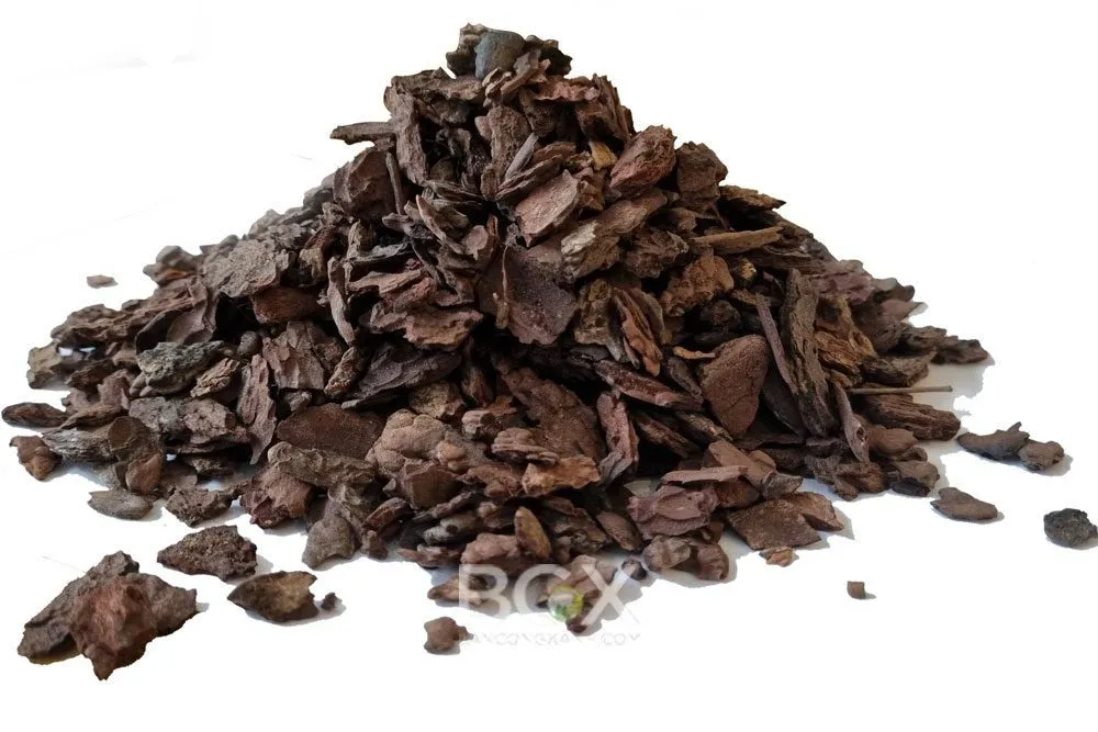 Viên uống chiết xuất vỏ thông đuôi ngựa giúp cải thiện tóc, da và tim mạch