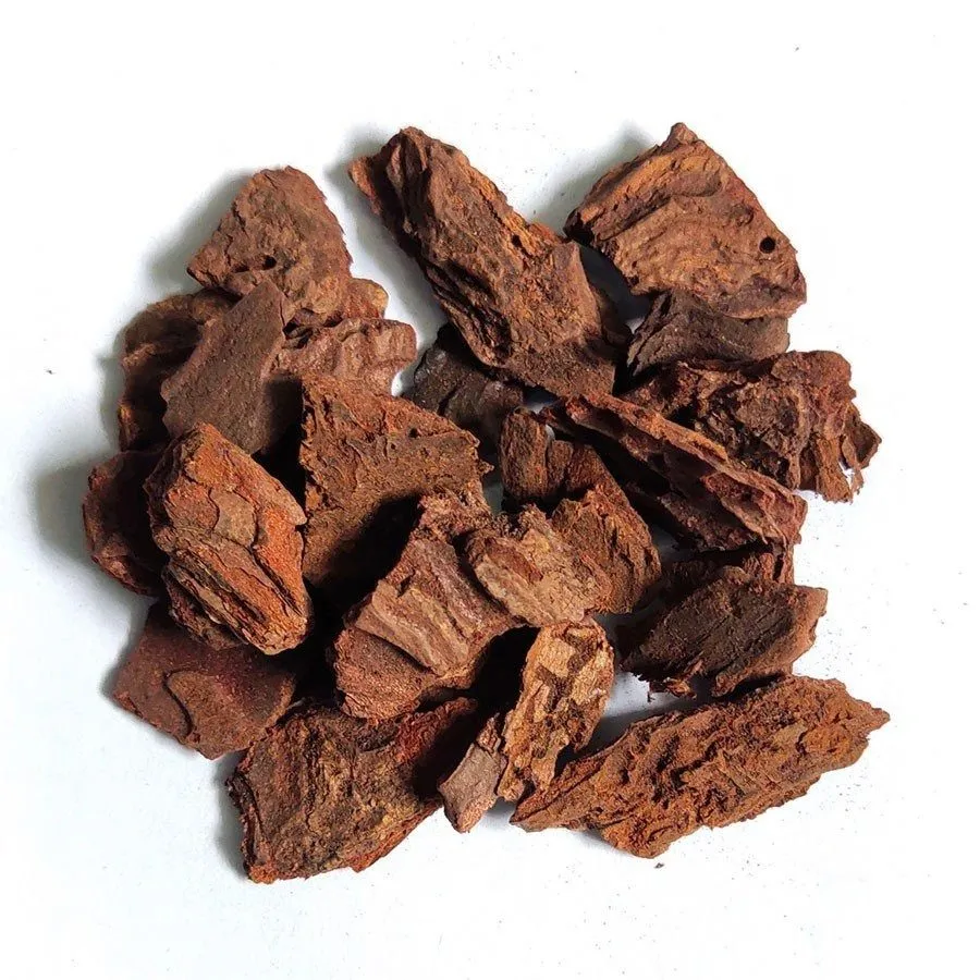 Vỏ thông đuôi ngựa – bí quyết trẻ hóa làn da và tăng cường sức khỏe tự nhiên