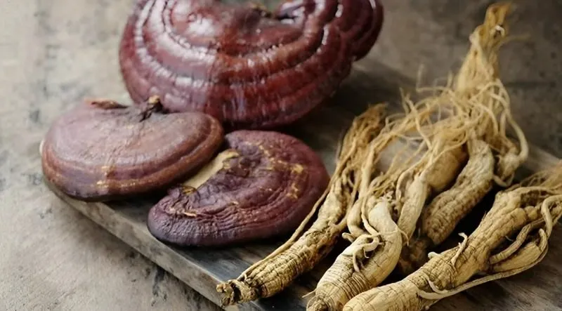 Cách sử dụng nấm linh chi đúng chuẩn mang lại sức khỏe bền vững