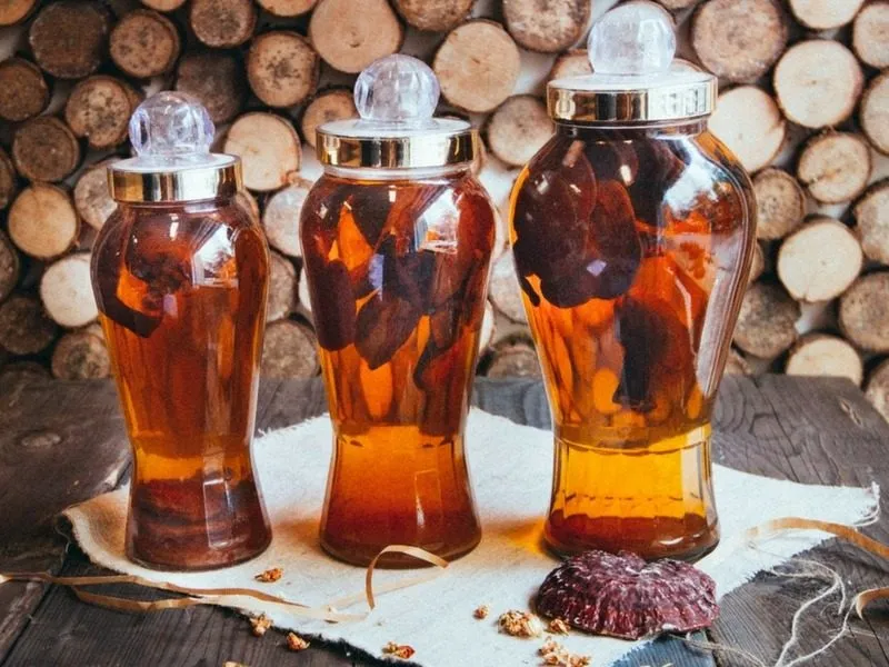 Linh chi ngâm rượu có tác dụng gì