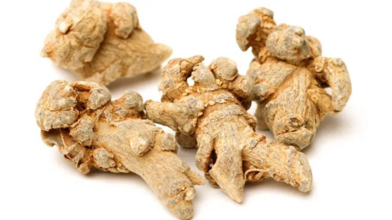 tam thất trị dạ dày