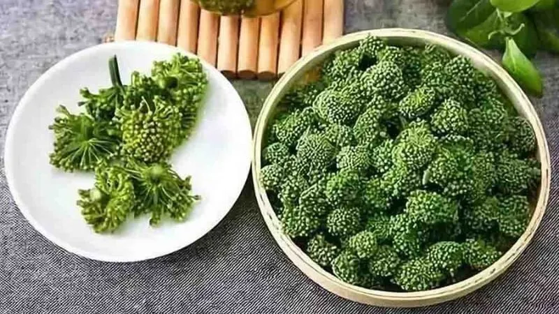 Hương sắc thiên nhiên tươi mát qua từng khoảnh khắc