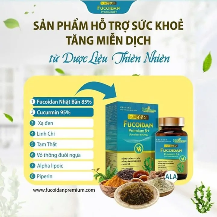 Fucoidan Premium 8 hỗ trợ tăng cường sức khỏe toàn diện