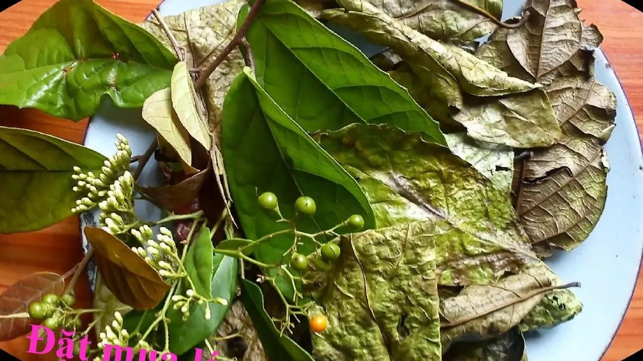 Lá xạ đen khô thường được dùng nấu nước uống hằng ngày